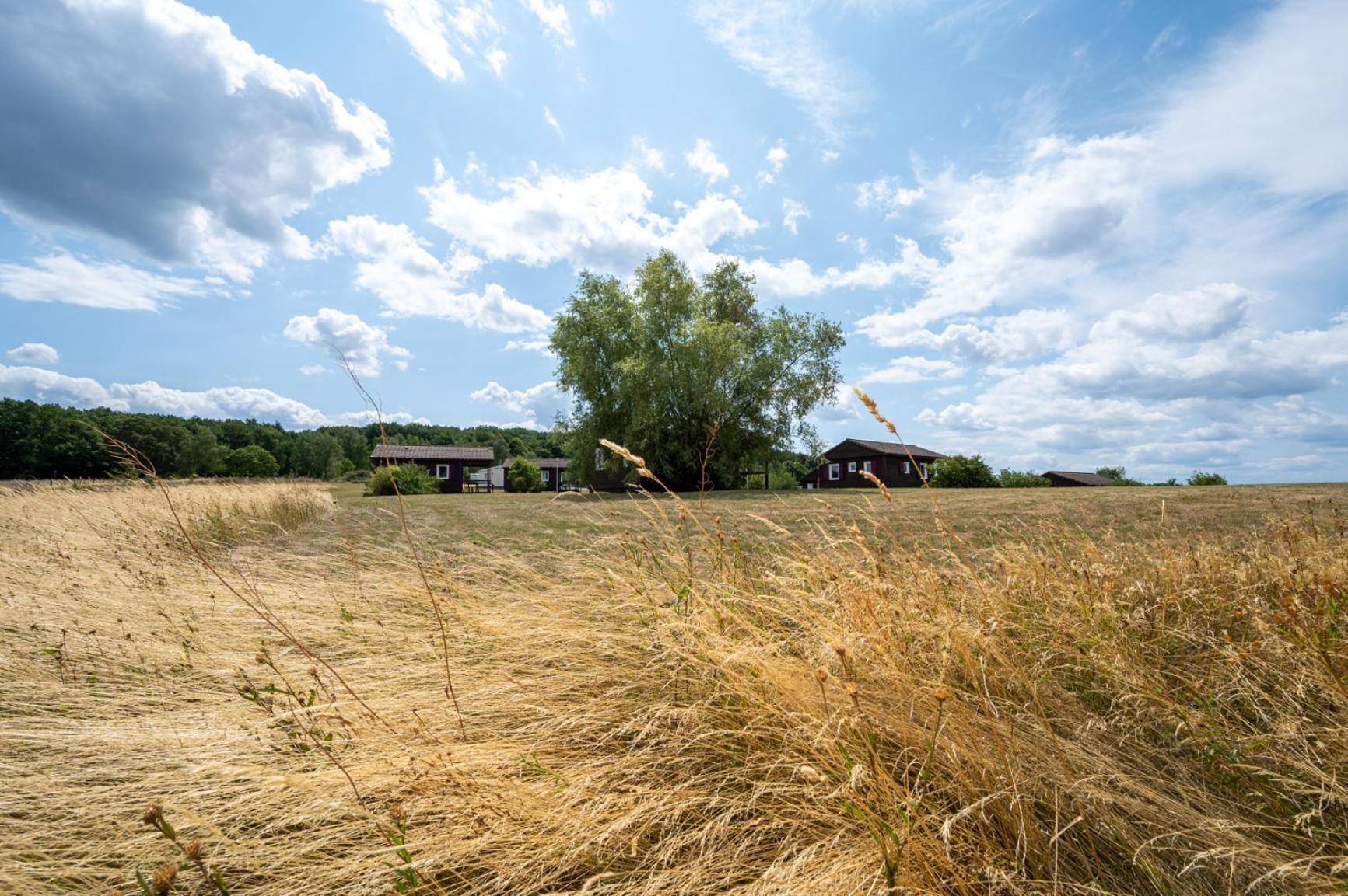 Camping Les Vosges Du Nord Oberbronn Exterior photo